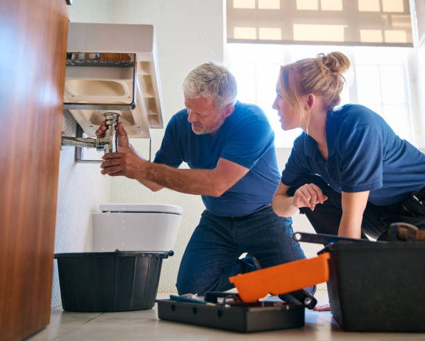 Best Local Plumber Services  in Aspinwall, PA